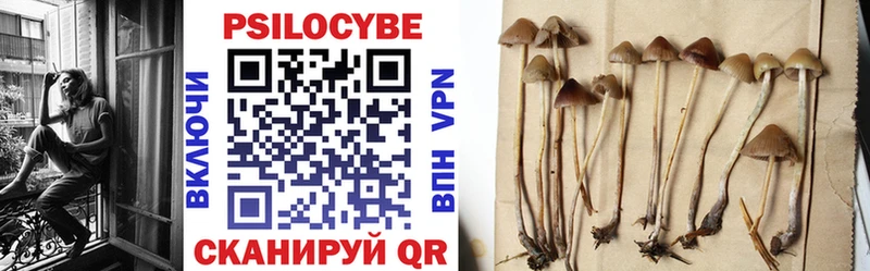 Псилоцибиновые грибы мухоморы  мега как войти  Волгодонск 