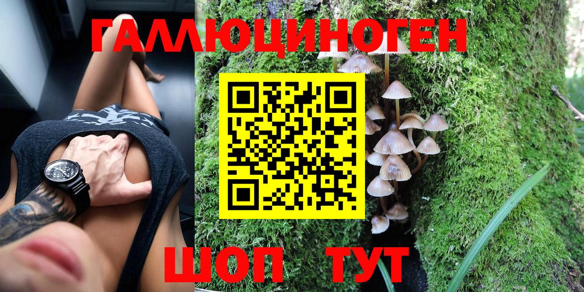 Волгодонск  Псилоцибиновые грибы Magic Shrooms  Вход с VPN 